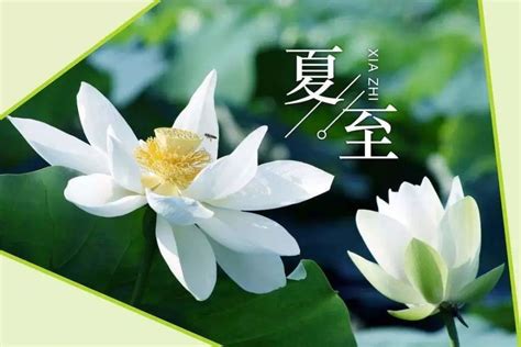 夏至 行房|夏至来了 ，“夏至三忌，一年顺利”，这些禁忌要知道，平安一整年